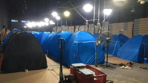 越南疫情重創電子產業鏈 在越工廠預警，全球供應鏈瀕臨斷裂